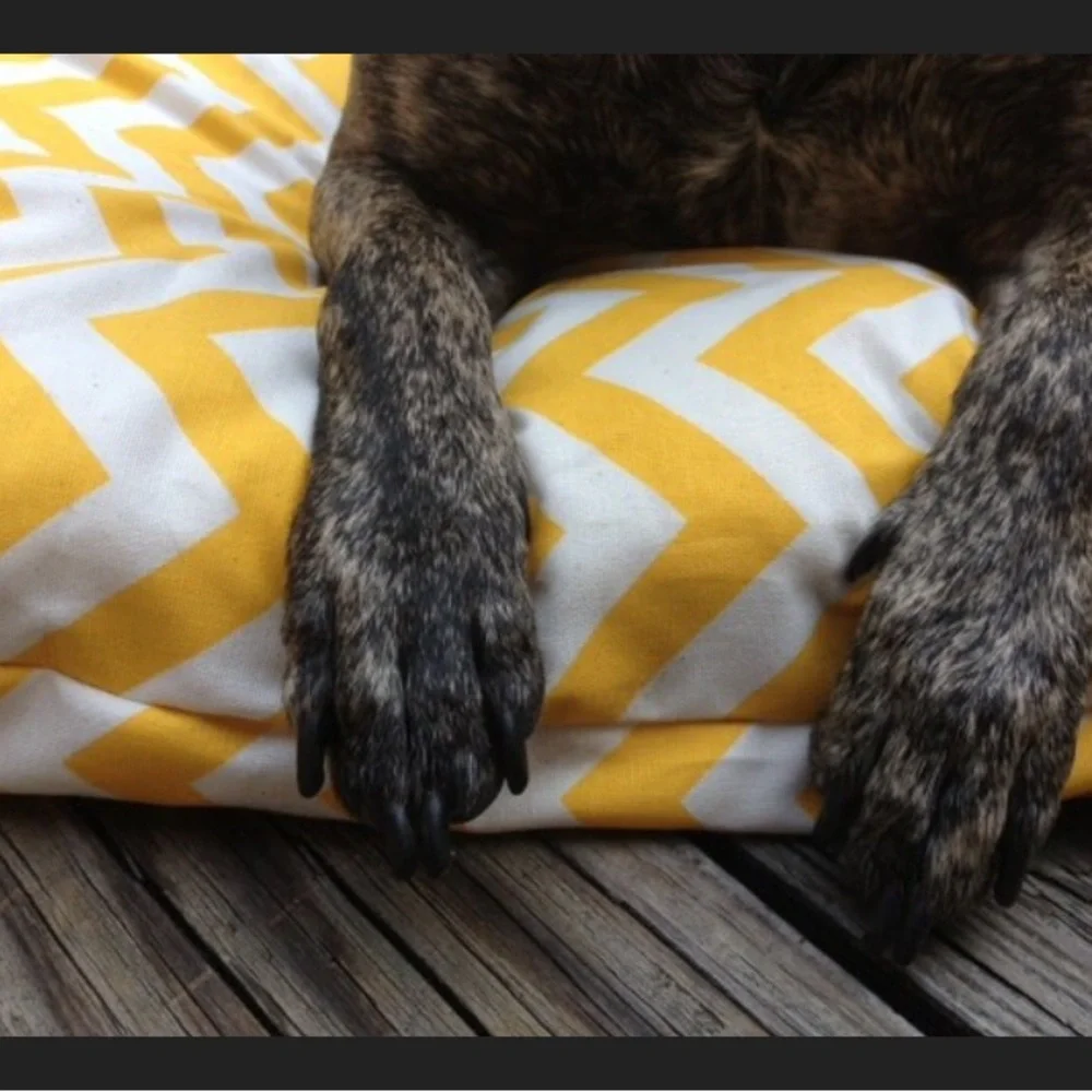 For Your Love of Dogs Yellow Chevron Dog Bed Cover